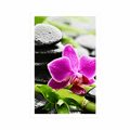 POSTER WELLNESS-STILLLEBEN MIT LILA ORCHIDEE - FENG SHUI - POSTER