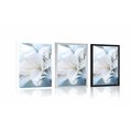 POSTER WHITE LILY FLOWER ON AN ABSTRACT BACKGROUND - FLOWERS - POSTERS