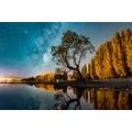 CANVAS PRINT TREE UNDER A STARRY SKY - PICTURES OF NATURE AND LANDSCAPE - PICTURES