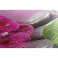 CANVAS PRINT ORCHID WITH A HINT OF RELAXATION - PICTURES FENG SHUI - PICTURES