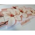 5-PIECE CANVAS PRINT LUXURIOUS MAGNOLIA WITH PEARLS - PICTURES FLOWERS - PICTURES