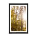 AFFICHE AVEC MONTURE FORÊT AUX COULEURS D'AUTOMNE - NATURE - AFFICHES