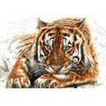 CANVAS PRINT ANIMAL PREDATOR - PICTURES OF ANIMALS{% if product.category.pathNames[0] != product.category.name %} - PICTURES{% endif %}