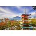 CARTA DA PARATI – VISTA SULLA PAGODA CHUREITO E MONTE FUJI - CARTA DA PARATI NATURA - CARTA DA PARATI