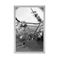 POSTER TREE BRANCHES UNDER THE FULL MOON IN BLACK AND WHITE - BLACK AND WHITE - POSTERS