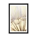 POSTER WITH MOUNT DANDELION SEEDS - FLOWERS - POSTERS