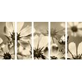 5-PIECE CANVAS PRINT GARDEN FLOWERS IN SEPIA DESIGN - BLACK AND WHITE PICTURES{% if product.category.pathNames[0] != product.category.name %} - PICTURES{% endif %}