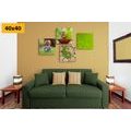 CANVAS PRINT SET PLEASANT HARMONY FENG SHUI - SET OF PICTURES - PICTURES