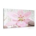 CANVAS PRINT PINK LILY AND ZEN STONES - PICTURES FENG SHUI - PICTURES