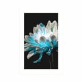 POSTER WITH MOUNT DAISY ON A BLACK BACKGROUND - FLOWERS - POSTERS
