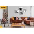 SET TABLOURI ANIMALE ÎN DESIGN ALB-NEGRU DE ACUARELĂ - COMPOZIȚIE DE TABLOURI - TABLOURI