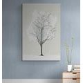 CANVAS PRINT MINIMALISTIC TREE IN WINTER - PICTURES OF TREES AND LEAVES - PICTURES