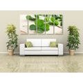 5-PIECE CANVAS PRINT GREEN FOUR-LEAF CLOVERS - STILL LIFE PICTURES{% if product.category.pathNames[0] != product.category.name %} - PICTURES{% endif %}