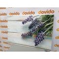 CANVAS PRINT LAVENDER ON A WOODEN BACKGROUND - PICTURES FLOWERS - PICTURES