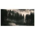 OBRAZ RANNÍ OPAR NAD LESEM - PICTURES FOREST - PICTURES