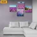 CANVAS PRINT SET ROMANTIC LAVENDER FIELD - SET OF PICTURES - PICTURES