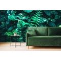 WALL MURAL FRESH TROPICAL LEAVES - WALLPAPERS NATURE - WALLPAPERS