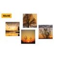 CANVAS PRINT SET MAGICAL NATURE - SET OF PICTURES - PICTURES