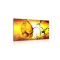 CANVAS PRINT ETHNIC FLOWER - ABSTRACT PICTURES - PICTURES