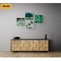 CANVAS PRINT SET NATURE FULL OF GREENERY - SET OF PICTURES - PICTURES