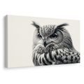 WANDBILD SCHWARZ-WEISSES EULENPORTRÄT - BILDER VON VÖGELN - BILDER