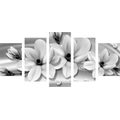 CUADRO DE 5 PIEZAS MAGNOLIAS CON PERLAS EN BLANCO Y NEGRO - CUADROS DE 5 PIEZAS - OUTLET 🔥