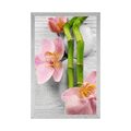 POSTER GENTLE ZEN COMPOSITION - FENG SHUI - POSTERS