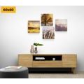 CANVAS PRINT SET WONDERS OF NATURE - SET OF PICTURES - PICTURES