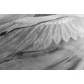 CANVAS PRINT FREE ANGEL IN BLACK AND WHITE - BLACK AND WHITE PICTURES - PICTURES