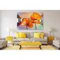 CANVAS PRINT ORANGE POPPY FLOWERS IN ORIENTAL STYLE - PICTURES FLOWERS - PICTURES