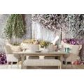 WALL MURAL MEDICINAL HERBS - WALLPAPERS FOOD AND DRINKS - WALLPAPERS