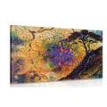 CANVAS PRINT TREE WITH AN ORIENTAL BACKGROUND - PICTURES FENG SHUI{% if product.category.pathNames[0] != product.category.name %} - PICTURES{% endif %}