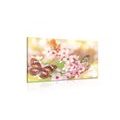 CANVAS PRINT SPRING FLOWERS WITH EXOTIC BUTTERFLIES - PICTURES OF ANIMALS - PICTURES