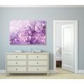 CANVAS PRINT PURPLE LILAC FLOWER - PICTURES FLOWERS - PICTURES