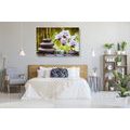 IMPRESSION SUR TOILE NATURE MORTE AU SPA - IMPRESSIONS SUR TOILE FENG SHUI - IMPRESSION SUR TOILE