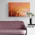 CANVAS PRINT COLORFUL SKY - PICTURES OF NATURE AND LANDSCAPE - PICTURES