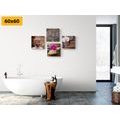 CANVAS PRINT SET FENG SHUI IN A NATURAL DESIGN - SET OF PICTURES - PICTURES