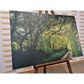 TABLEAU SUR TOILE – FORÊT FÉERIQUE - TABLEAUX DE LA NATURE ET DES PAYSAGES - TABLEAUX