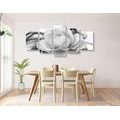 5-PIECE CANVAS PRINT LUXURY ROSE IN BLACK AND WHITE - BLACK AND WHITE PICTURES - PICTURES