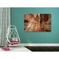 CANVAS PRINT GRAND CANYON PATHWAY - PICTURES OF NATURE AND LANDSCAPE - PICTURES