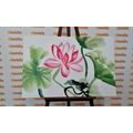 CANVAS PRINT WATERCOLOR LOTUS FLOWER - PICTURES FLOWERS - PICTURES