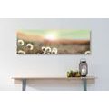 CANVAS PRINT PANORAMA OF A BLOOMING MEADOW - PICTURES OF NATURE AND LANDSCAPE - PICTURES