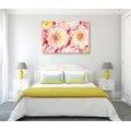 CANVAS PRINT DELICATE DAHLIA FLOWERS - PICTURES FLOWERS - PICTURES