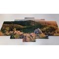 TABLEAU EN 5 PARTIES – NATURE BAIGNÉE DE SOLEIL - TABLEAUX DE LA NATURE ET DES PAYSAGES - TABLEAUX