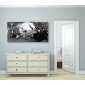 CANVAS PRINT TREE BRANCHES UNDER THE FULL MOON IN BLACK AND WHITE - BLACK AND WHITE PICTURES - PICTURES