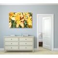 CANVAS PRINT YELLOW LILY - PICTURES FLOWERS - PICTURES