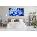 CANVAS PRINT PICTURESQUE BLUE FLOWERS - PICTURES FLOWERS - PICTURES