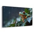 OBRAZ ŽÁBA V DEŠTI NA LISTU - OBRAZY ZVÍŘAT - OBRAZY