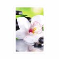 POSTER JAPANESE ORCHID - FENG SHUI - POSTERS