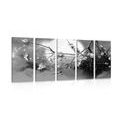 5-PIECE CANVAS PRINT TREE BRANCHES UNDER A FULL MOON IN BLACK AND WHITE - BLACK AND WHITE PICTURES - PICTURES